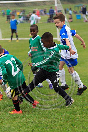 Eldon-2014 299