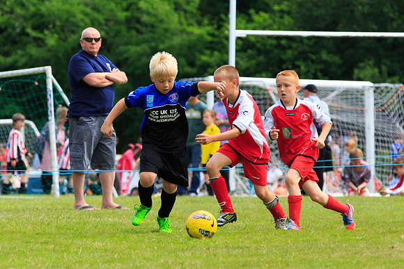 130629 Sandhurst Wanderers U8 at BTJ U9 Trny (14)