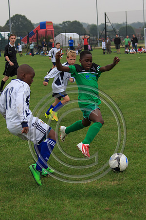 Eldon-2014 272