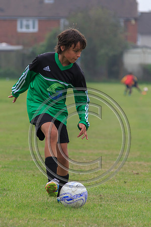 Eldon-2014 392