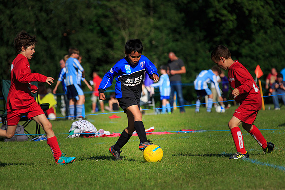 130629 Sandhurst Wanderers U8 at BTJ U9 Trny (560)