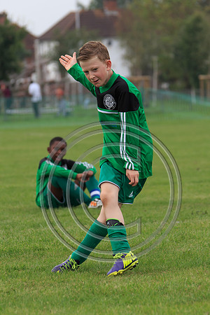 Eldon-2014 608