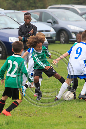 Eldon-2014 308