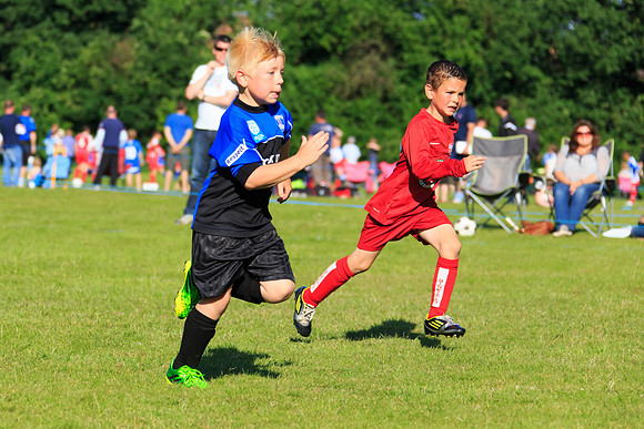 130629 Sandhurst Wanderers U8 at BTJ U9 Trny (549)