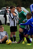 Eldon-2014 814