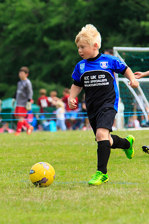 130629 Sandhurst Wanderers U8 at BTJ U9 Trny (17)-2