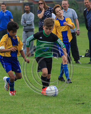 Eldon-2014 709