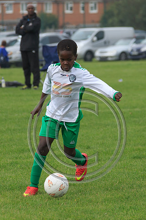 Eldon-2014 518