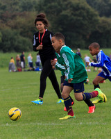 Eldon-2014 792