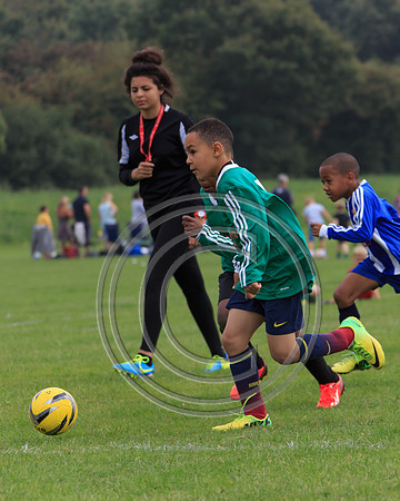 Eldon-2014 792