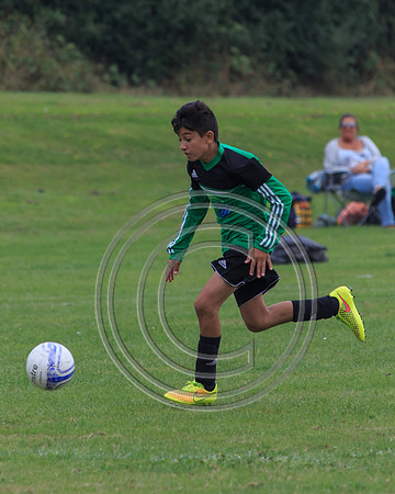 Eldon-2014 707