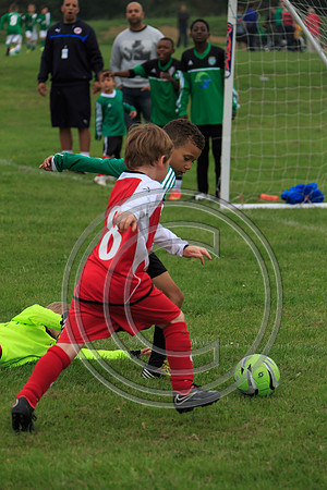 Eldon-2014 242