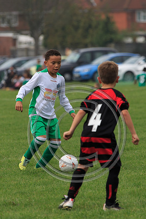 Eldon-2014 544