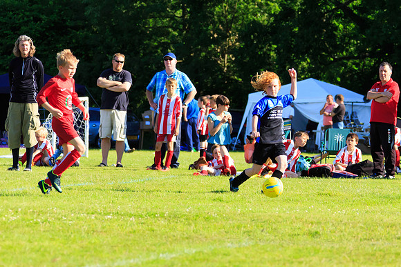 130629 Sandhurst Wanderers U8 at BTJ U9 Trny (510)