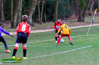 140223 B Cav U9 v Pinewood Pumas (6)