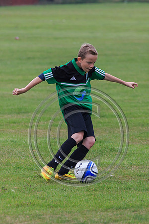 Eldon-2014 085