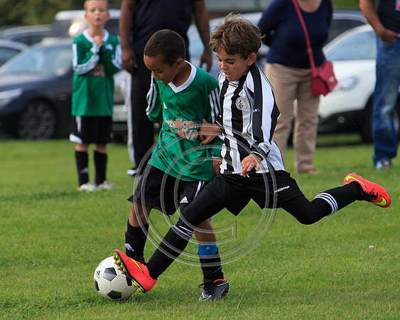 Eldon-2014 860