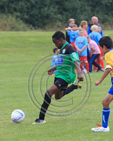 Eldon-2014 717
