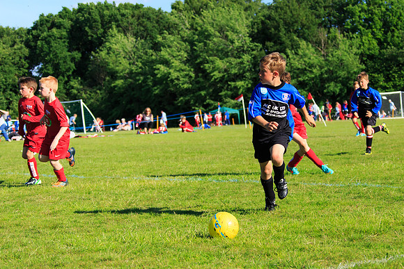 130629 Sandhurst Wanderers U8 at BTJ U9 Trny (525)