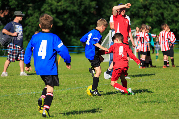 130629 Sandhurst Wanderers U8 at BTJ U9 Trny (557)