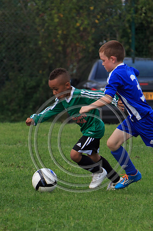 Eldon-2014 902