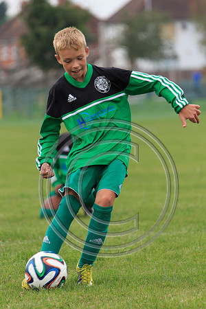 Eldon-2014 609