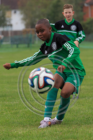 Eldon-2014 618