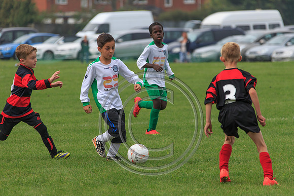 Eldon-2014 524