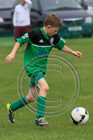 Eldon-2014 446