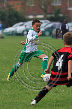 Eldon-2014 543
