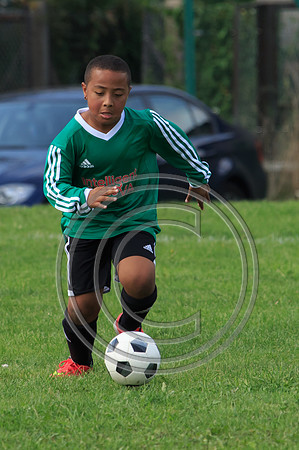 Eldon-2014 855