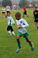 Eldon-2014 467