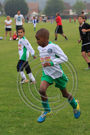 Eldon-2014 467