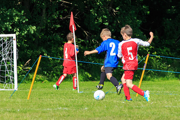 130629 Sandhurst Wanderers U8 at BTJ U9 Trny (288)