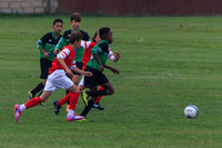 Eldon-2014 103