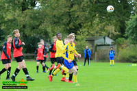 181027 Ascot v Cove Tigers