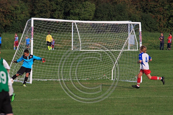 Eldon-2014 1411