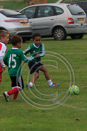 Eldon-2014 323