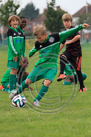 Eldon-2014 611