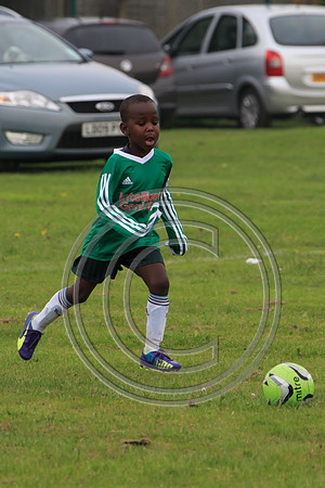 Eldon-2014 198