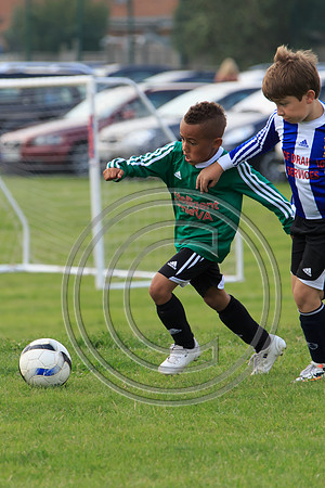 Eldon-2014 924
