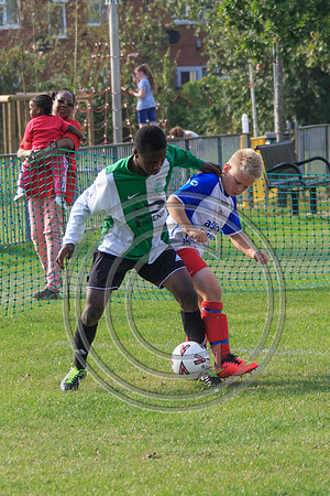 Eldon-2014 1080