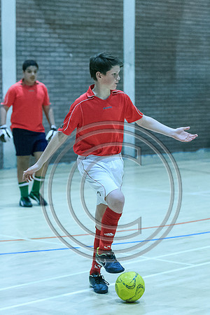 FT0515 (2019)