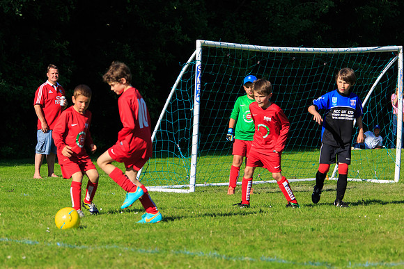 130629 Sandhurst Wanderers U8 at BTJ U9 Trny (528)