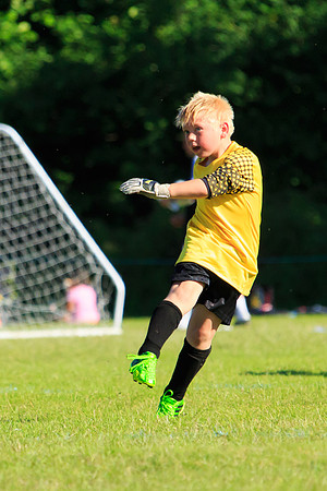 130629 Sandhurst Wanderers U8 at BTJ U9 Trny (501)