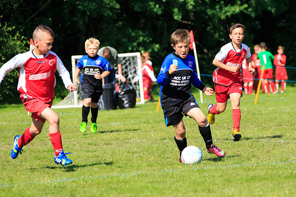 130629 Sandhurst Wanderers U8 at BTJ U9 Trny (318)