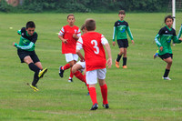 Eldon-2014 105