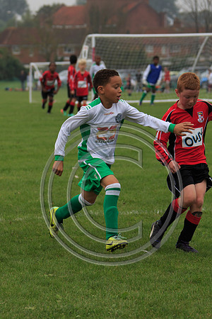 Eldon-2014 339