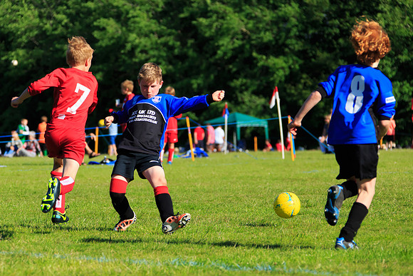 130629 Sandhurst Wanderers U8 at BTJ U9 Trny (491)