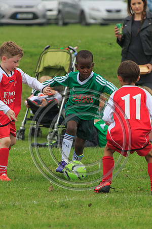 Eldon-2014 257